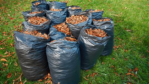 bag of leaves for sale